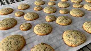 Small and simple poppy seed cookies win the holiday cookie wars